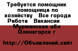 Требуется помощник, помощница по хозяйству - Все города Работа » Вакансии   . Мурманская обл.,Оленегорск г.